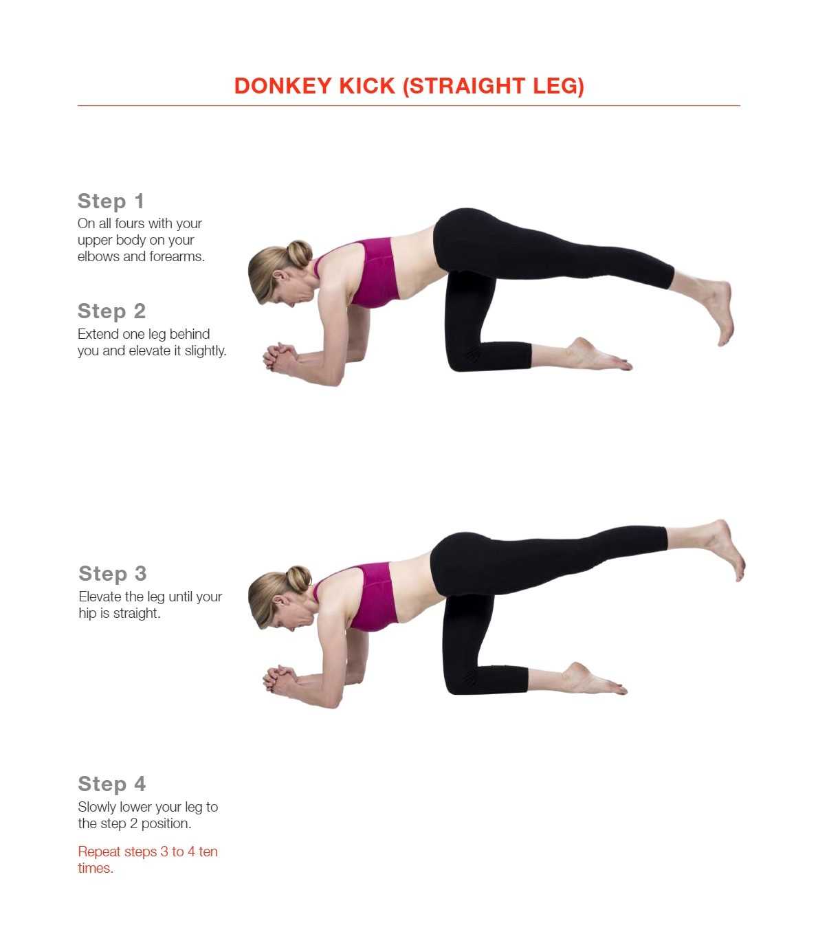 L10: DONKEY KICK Teaching points - Evidence for Exercise