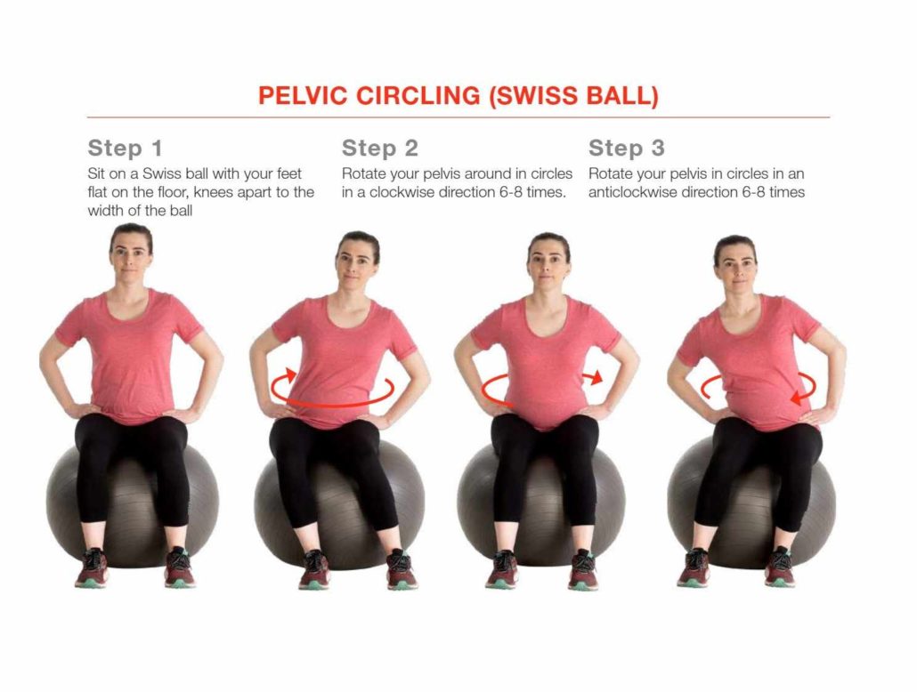Pelvic circling (Swiss Evidence for Exercise