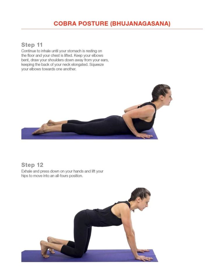 cobra_posture_(bhujangasana) - Evidence for Exercise